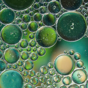 Prébiotique Naturel