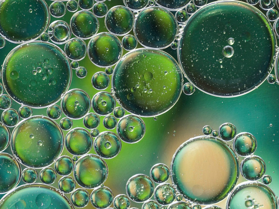 Prébiotique Naturel