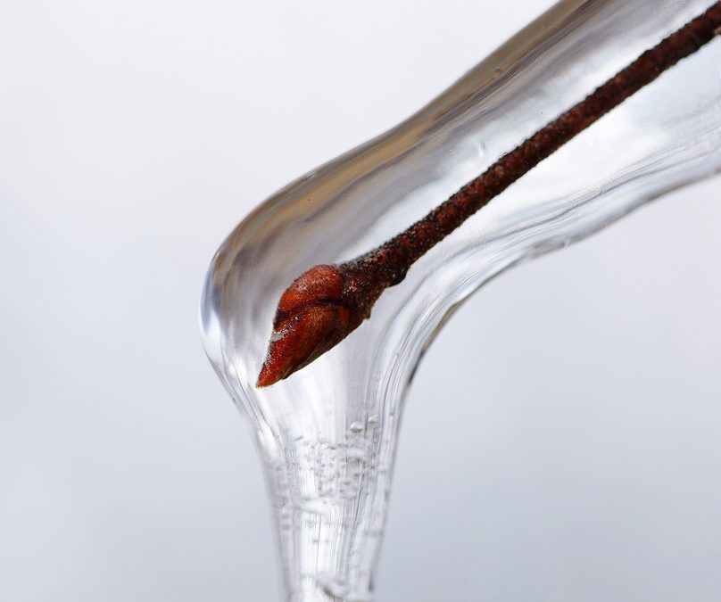 Paraffinum Liquidum