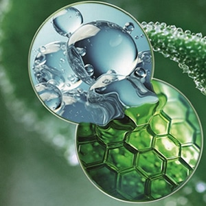 Collagene Vegetal