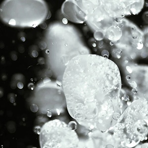 Lactobionic Acid (PHA)